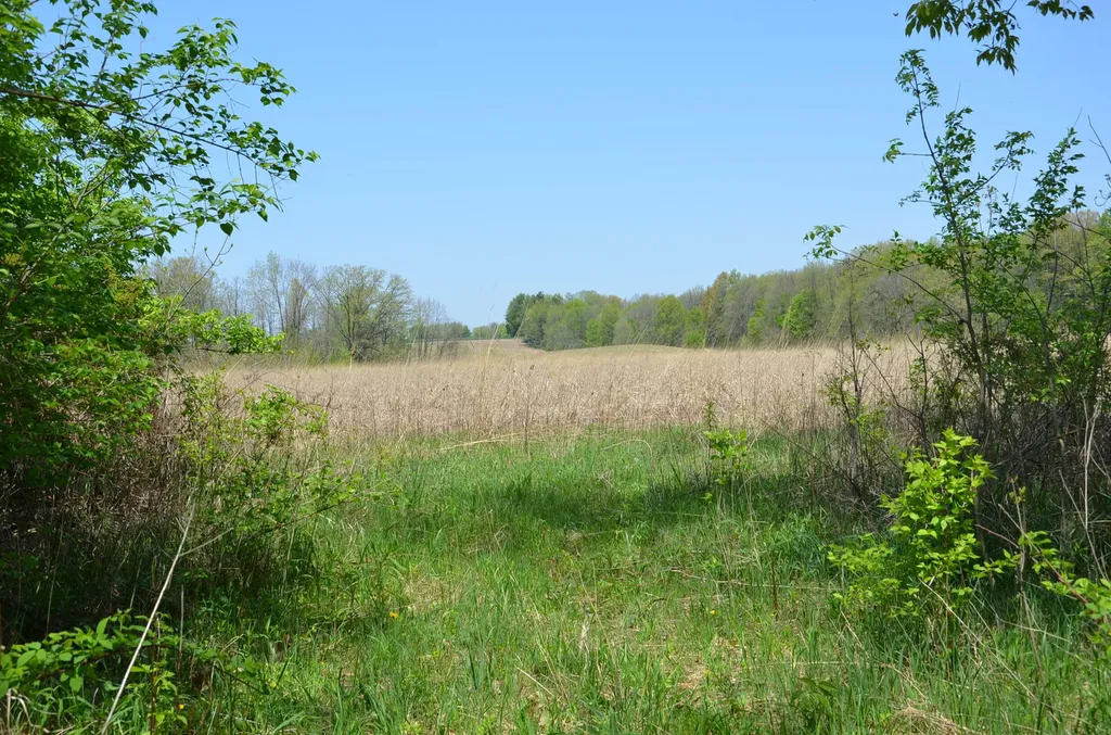 2255 River Road Hastings Charter Township MI 49058