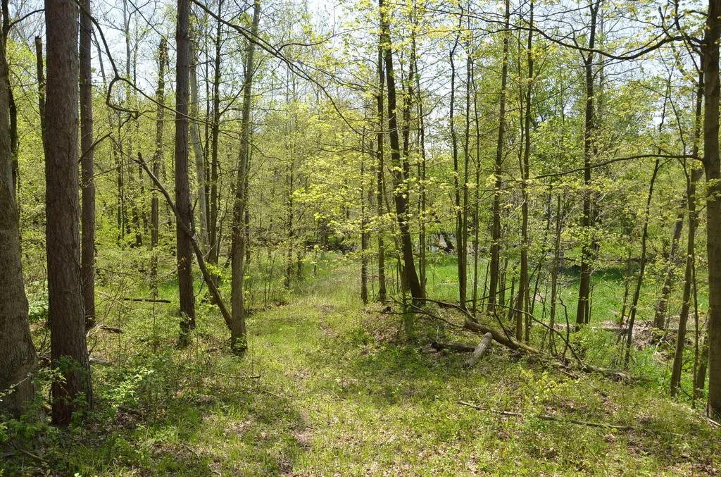 2255 River Road Hastings Charter Township MI 49058