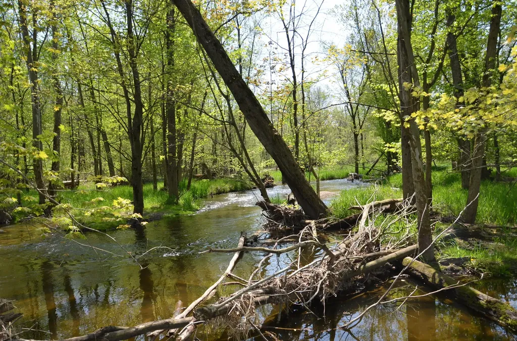 2255 River Road Hastings Charter Township MI 49058