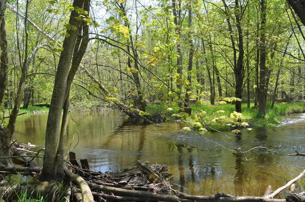 2255 River Road Hastings Charter Township MI 49058