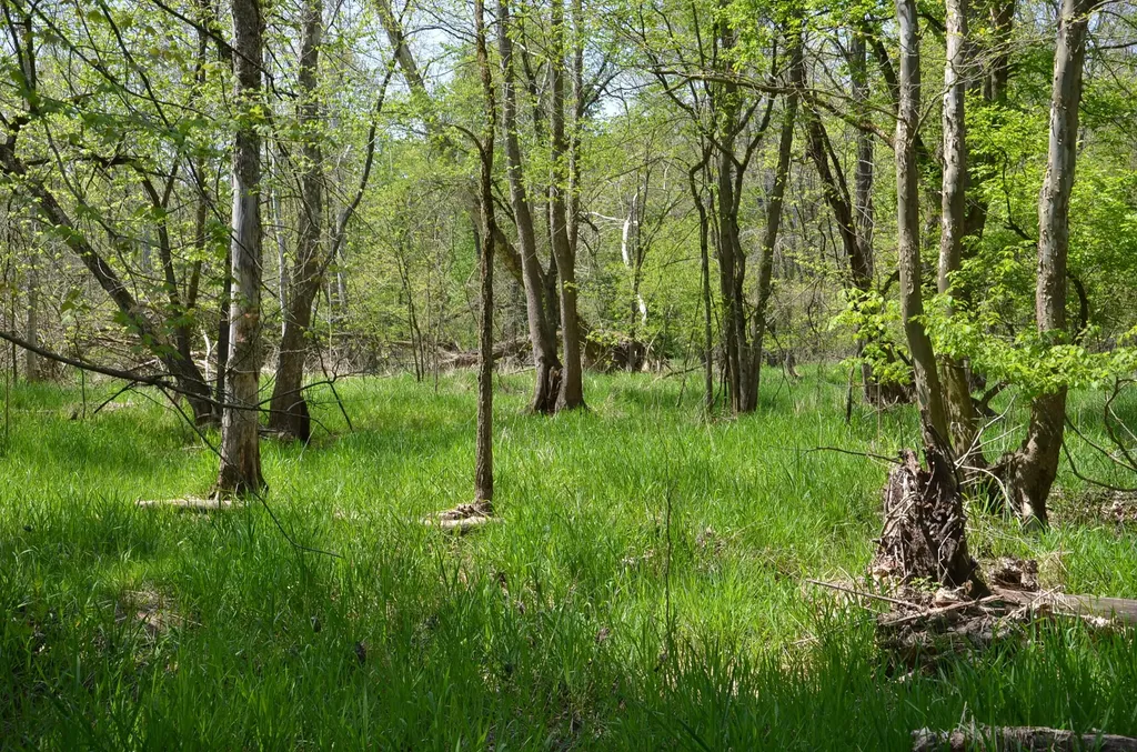 2255 River Road Hastings Charter Township MI 49058