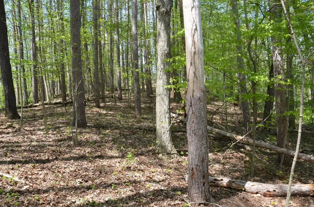 2255 River Road Hastings Charter Township MI 49058