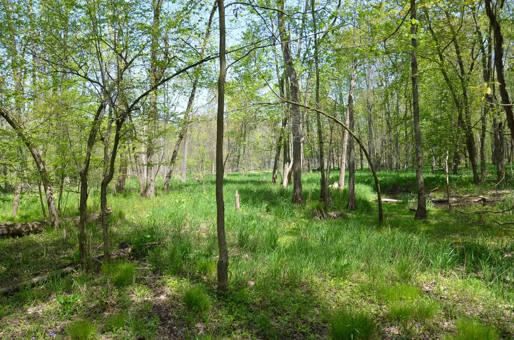 2255 River Road Hastings Charter Township MI 49058
