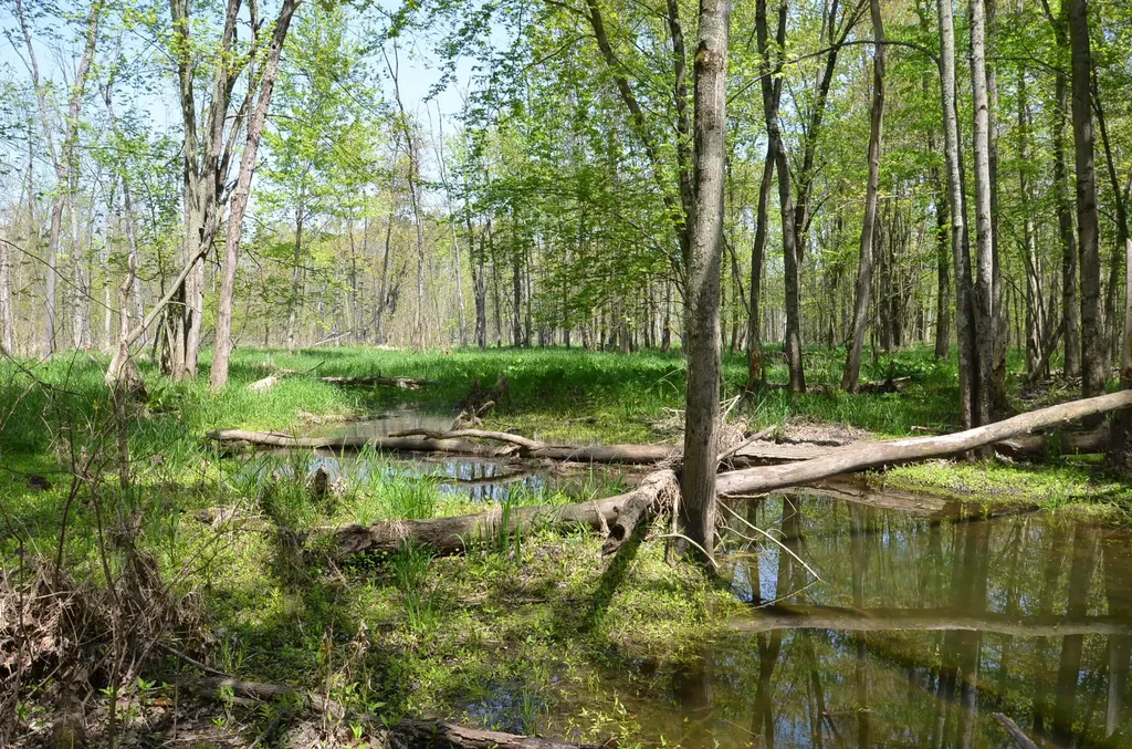 2255 River Road Hastings Charter Township MI 49058