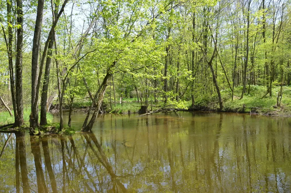 2255 River Road Hastings Charter Township MI 49058