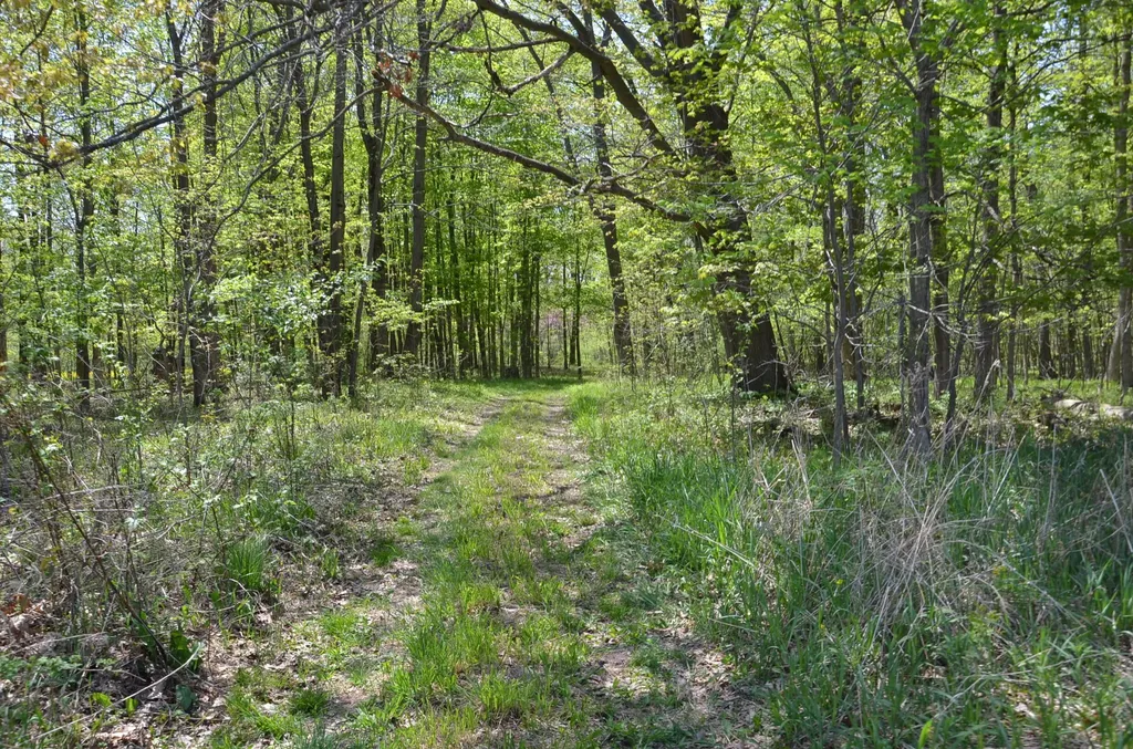 2255 River Road Hastings Charter Township MI 49058