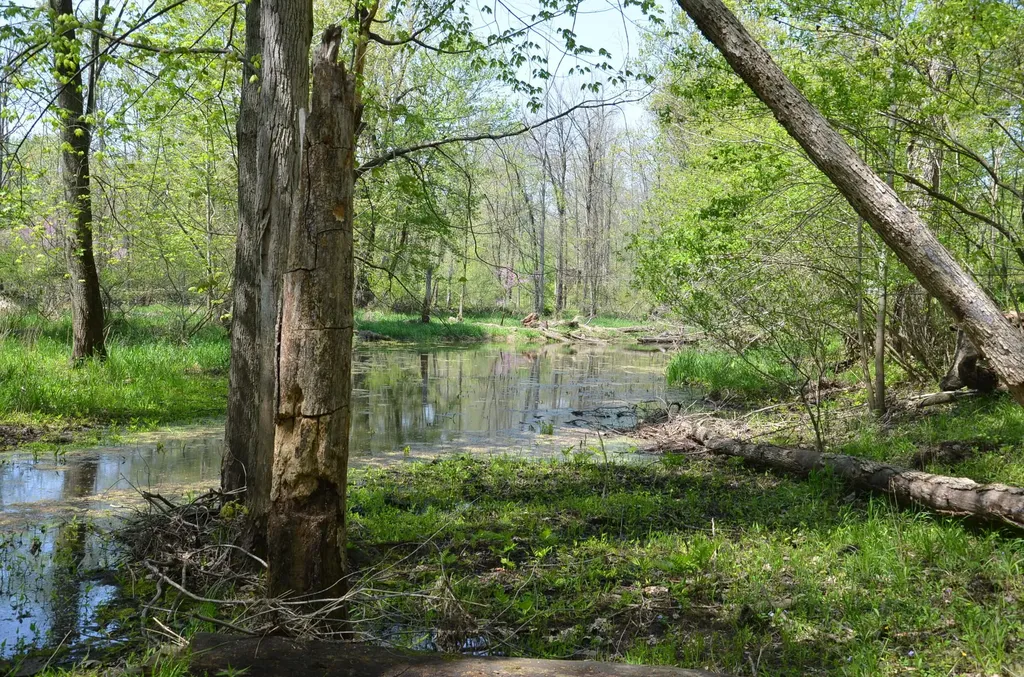 2255 River Road Hastings Charter Township MI 49058