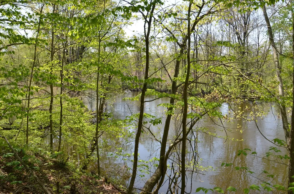 2255 River Road Hastings Charter Township MI 49058