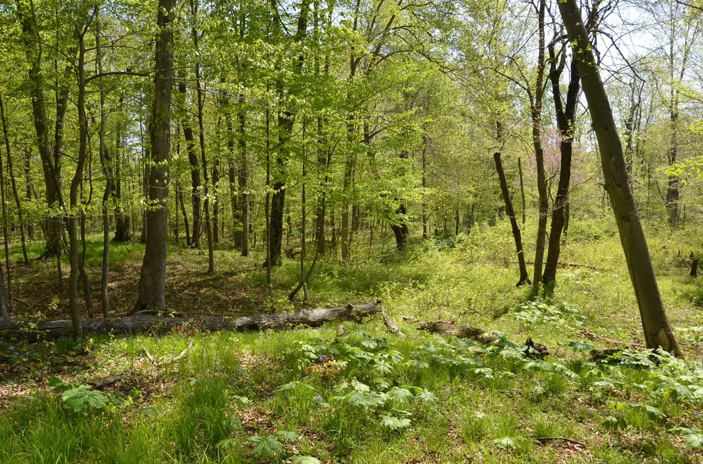 2255 River Road Hastings Charter Township MI 49058