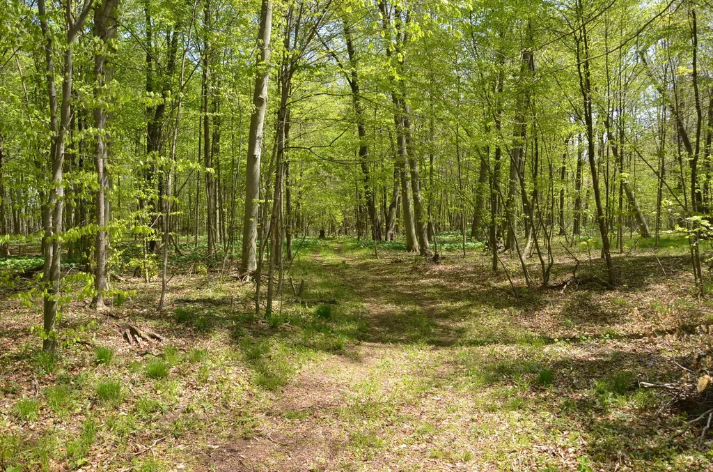 2255 River Road Hastings Charter Township MI 49058