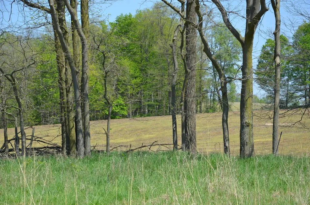2255 River Road Hastings Charter Township MI 49058