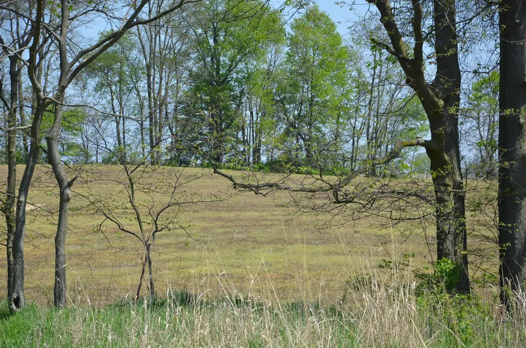2255 River Road Hastings Charter Township MI 49058