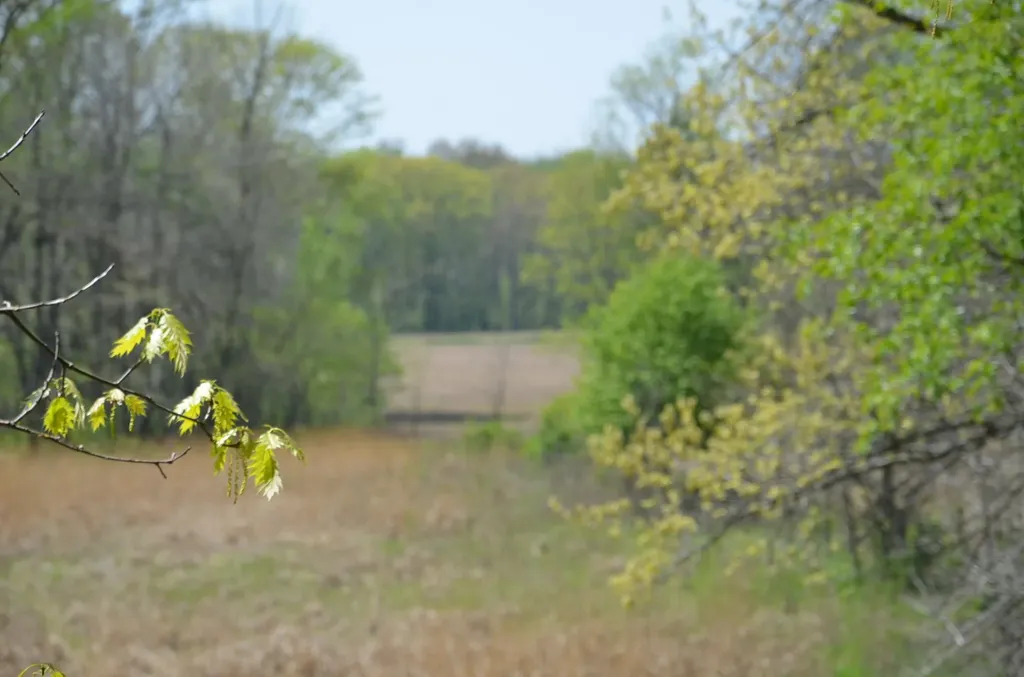 2255 River Road Hastings Charter Township MI 49058