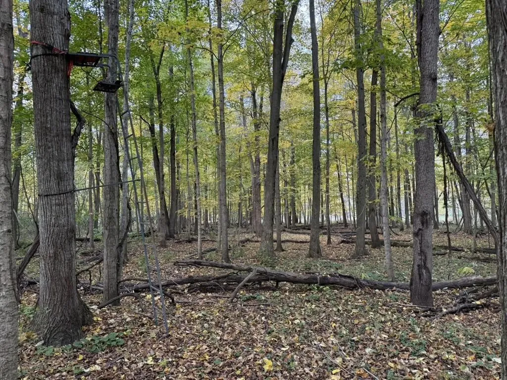 2255 River Road Hastings Charter Township MI 49058