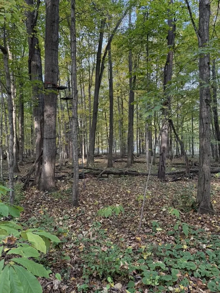 2255 River Road Hastings Charter Township MI 49058