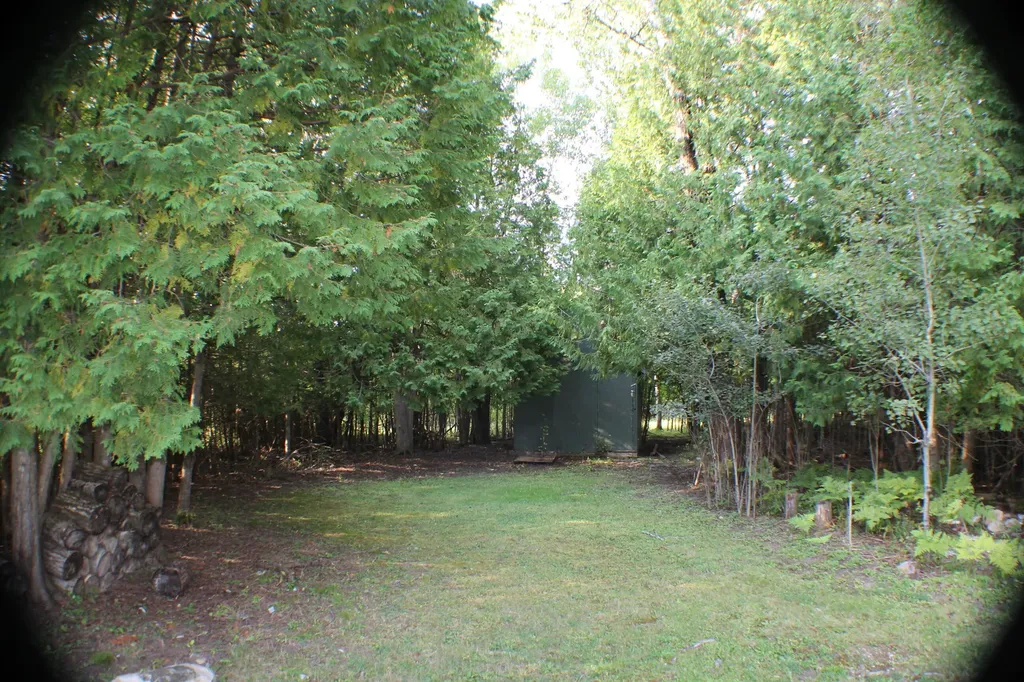 31165 S Maxton Road Unknown City MI 49726