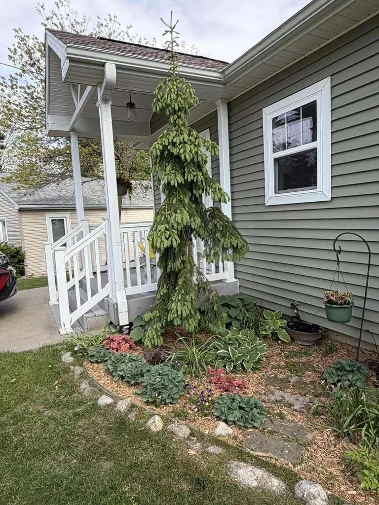 51509 Summit Street Paw Paw Township MI 49079