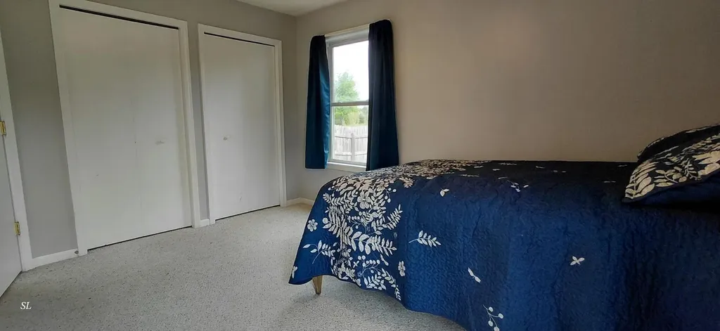 52821 County Road 657 Antwerp Township MI 49079