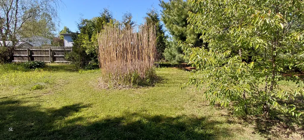 52821 County Road 657 Antwerp Township MI 49079