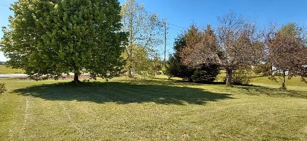 52821 County Road 657 Antwerp Township MI 49079