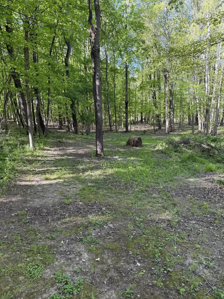 11299 E De Avenue Ross Township MI 49083