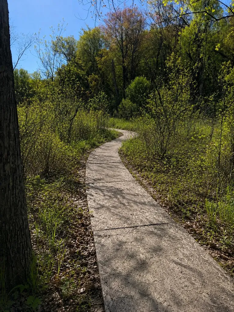 11299 E De Avenue Ross Township MI 49083