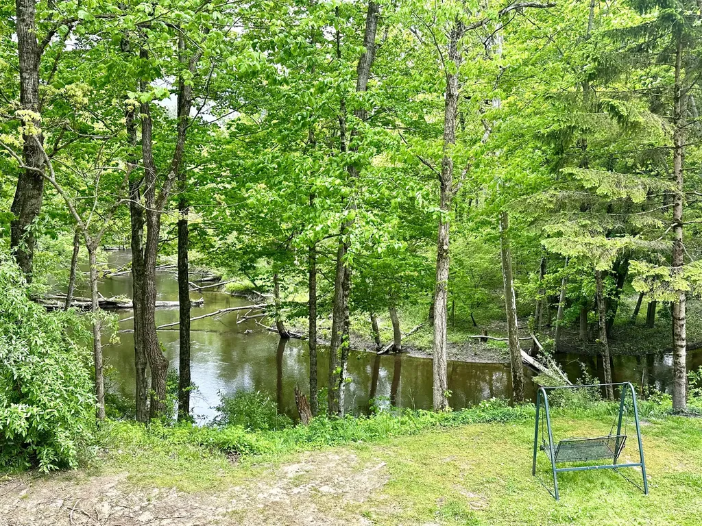 41341 Co Road 665 Waverly Township MI 49079