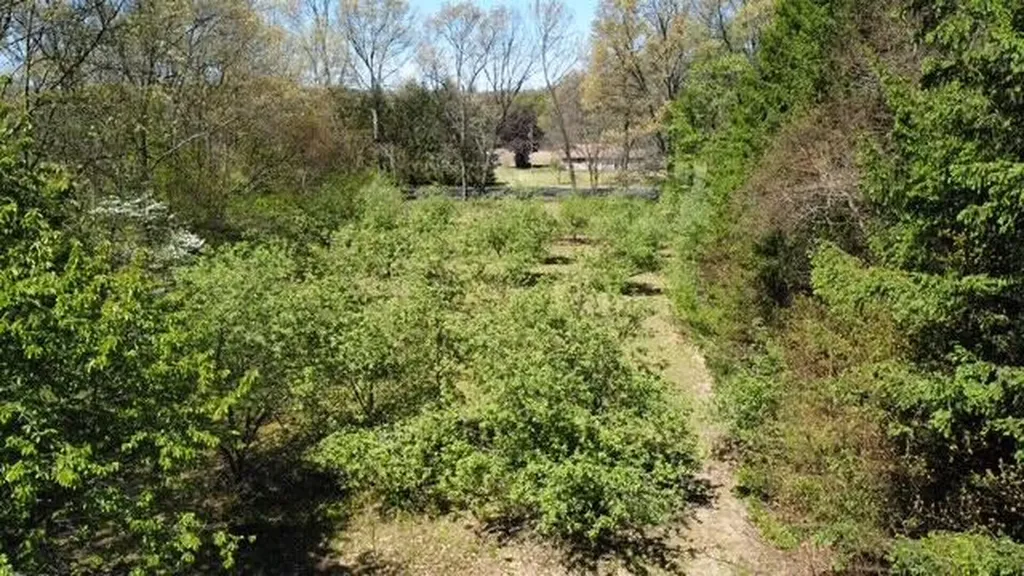 4115 S Van Kal Street Oshtemo Charter Township MI 49071
