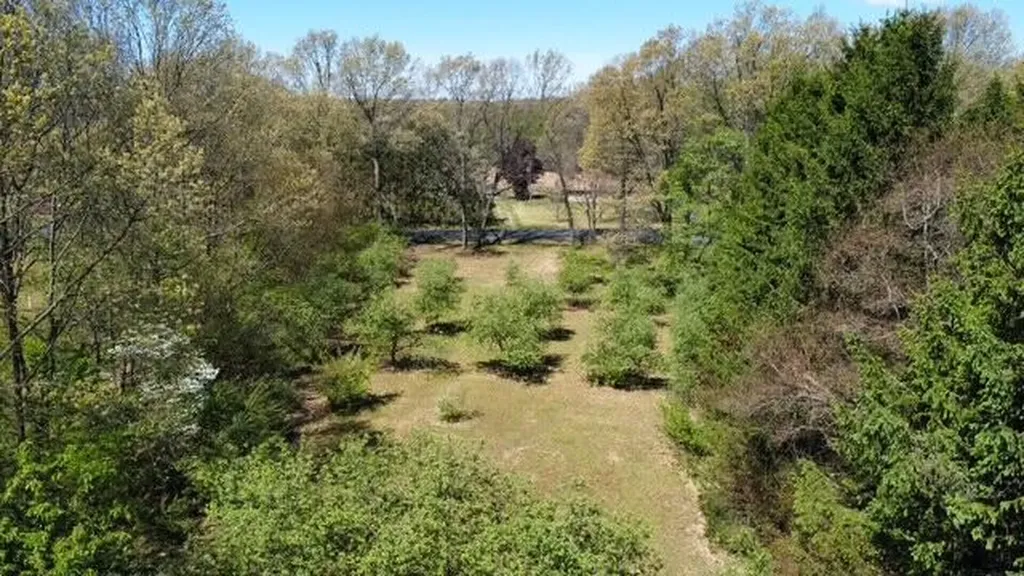 4115 S Van Kal Street Oshtemo Charter Township MI 49071