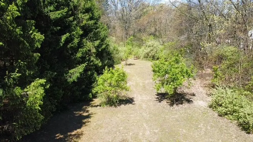 4115 S Van Kal Street Oshtemo Charter Township MI 49071