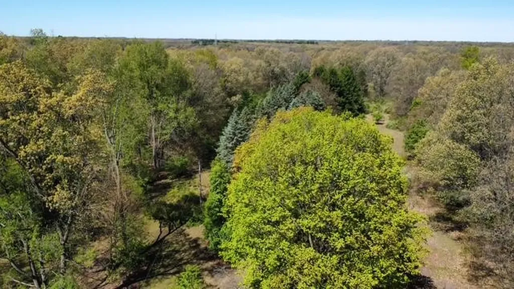 4115 S Van Kal Street Oshtemo Charter Township MI 49071