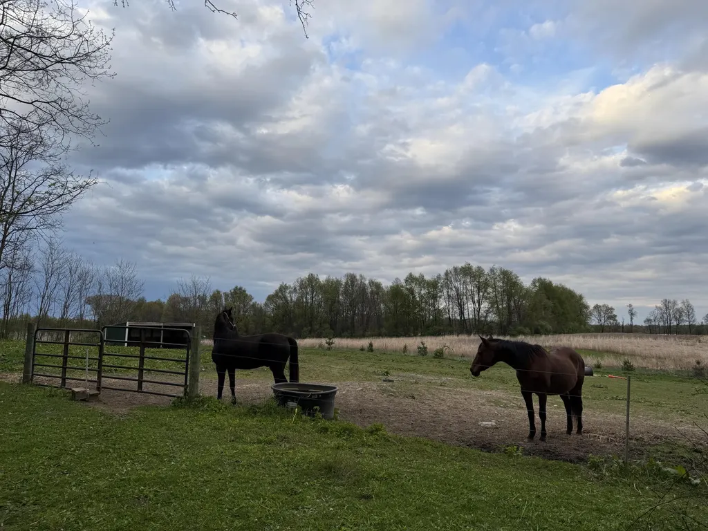 18300 14 Mile Road Convis Township MI 49014