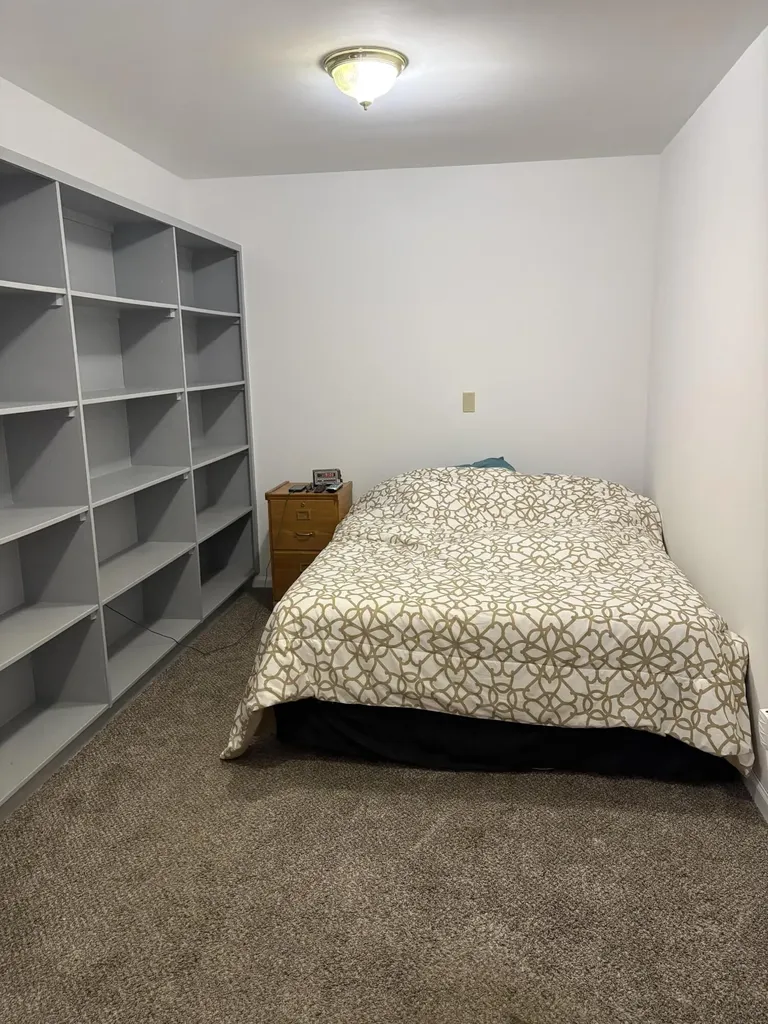 1225 102nd Avenue Otsego Township MI 49080