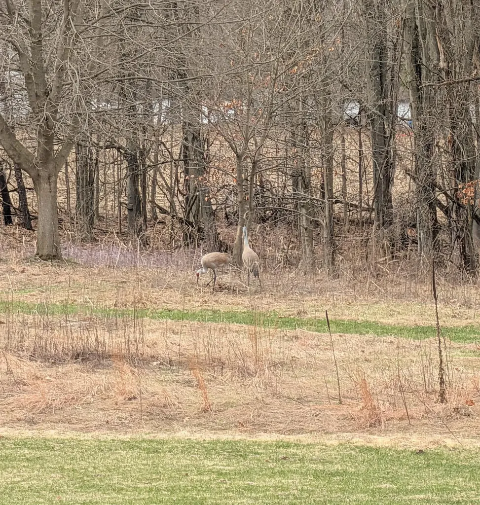26808 2nd Avenue Pine Grove Township MI 49010