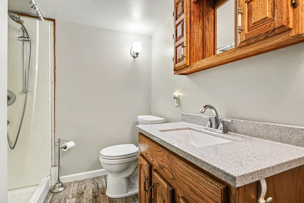 10165 S 29th Street Pavilion Township MI 49088