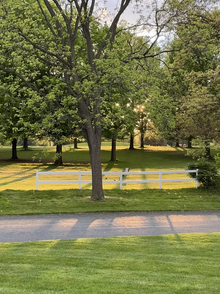 15877 Indian Valley Street Prairie Ronde Township MI 49087