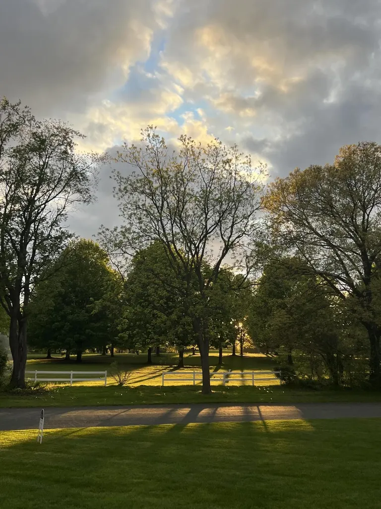 15877 Indian Valley Street Prairie Ronde Township MI 49087