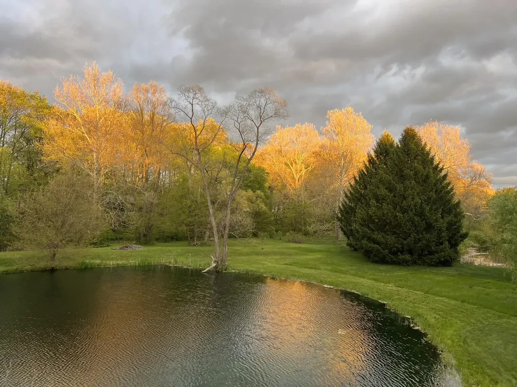15877 Indian Valley Street Prairie Ronde Township MI 49087