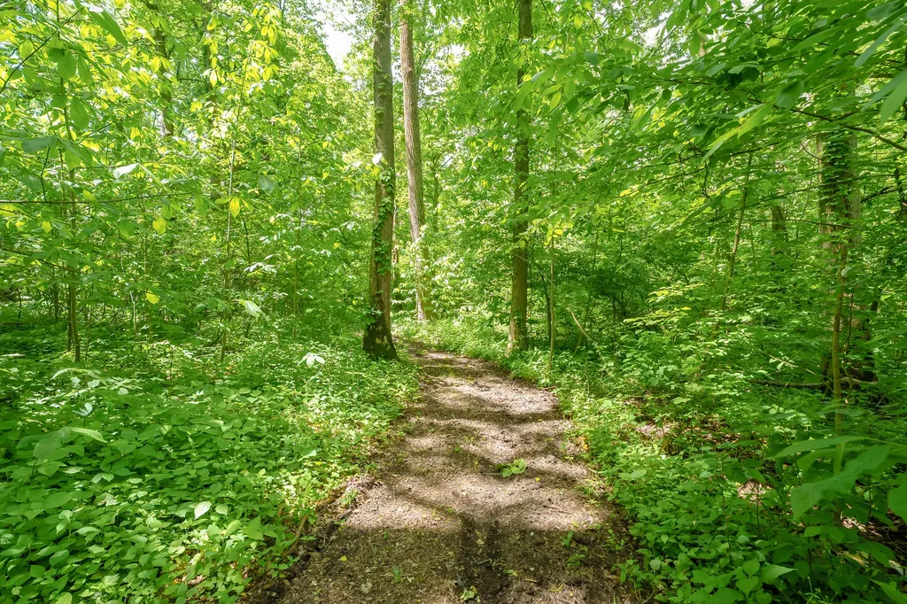 56200 California Road Pokagon Township MI 49047