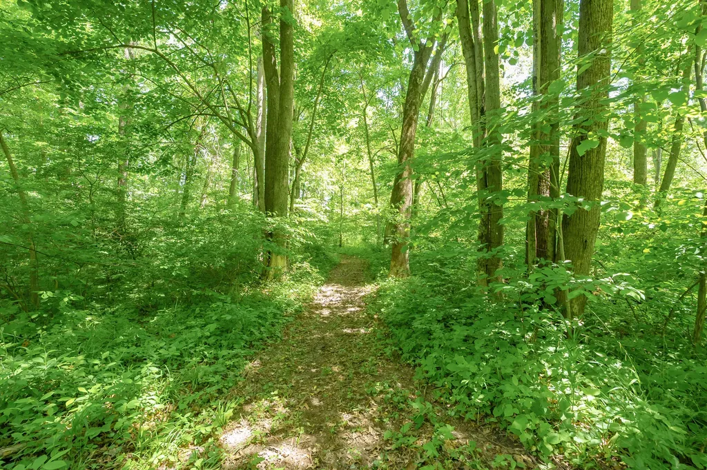 56200 California Road Pokagon Township MI 49047