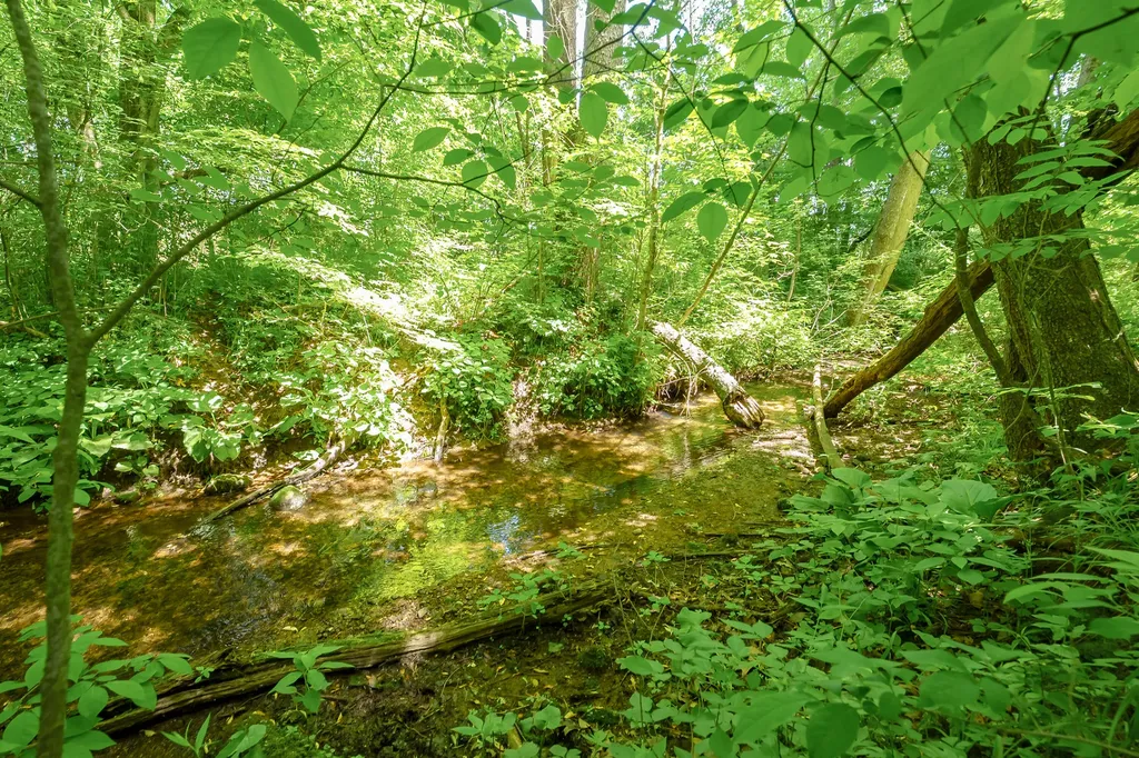 56200 California Road Pokagon Township MI 49047