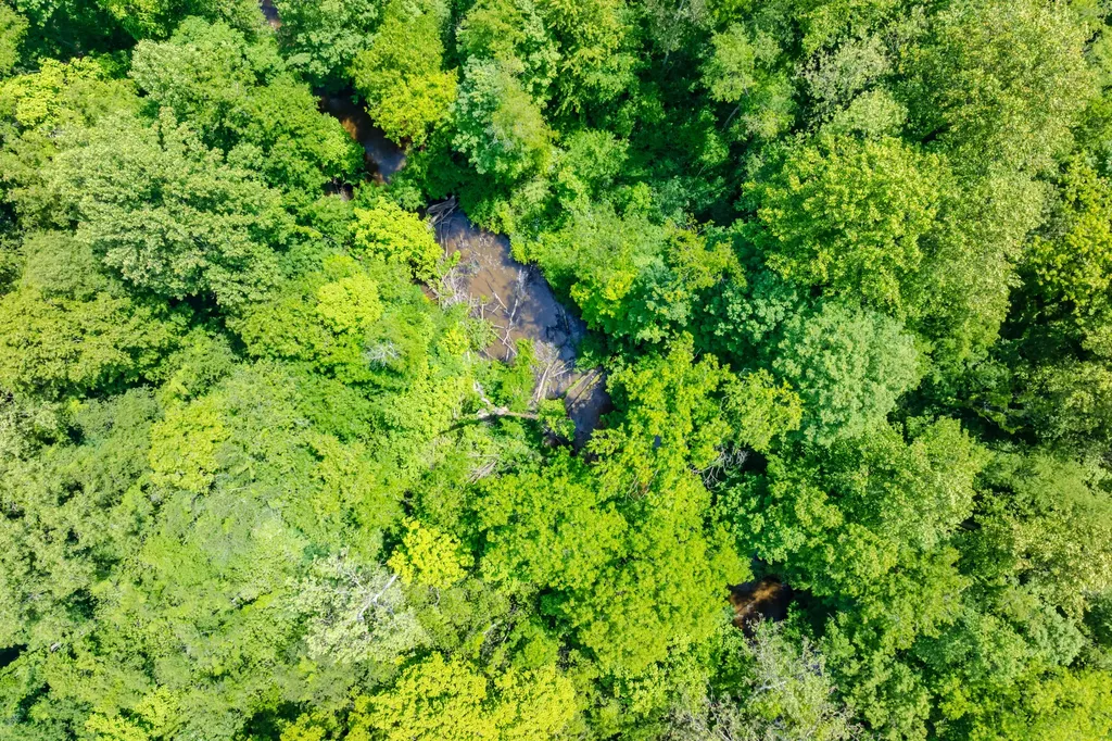 56200 California Road Pokagon Township MI 49047