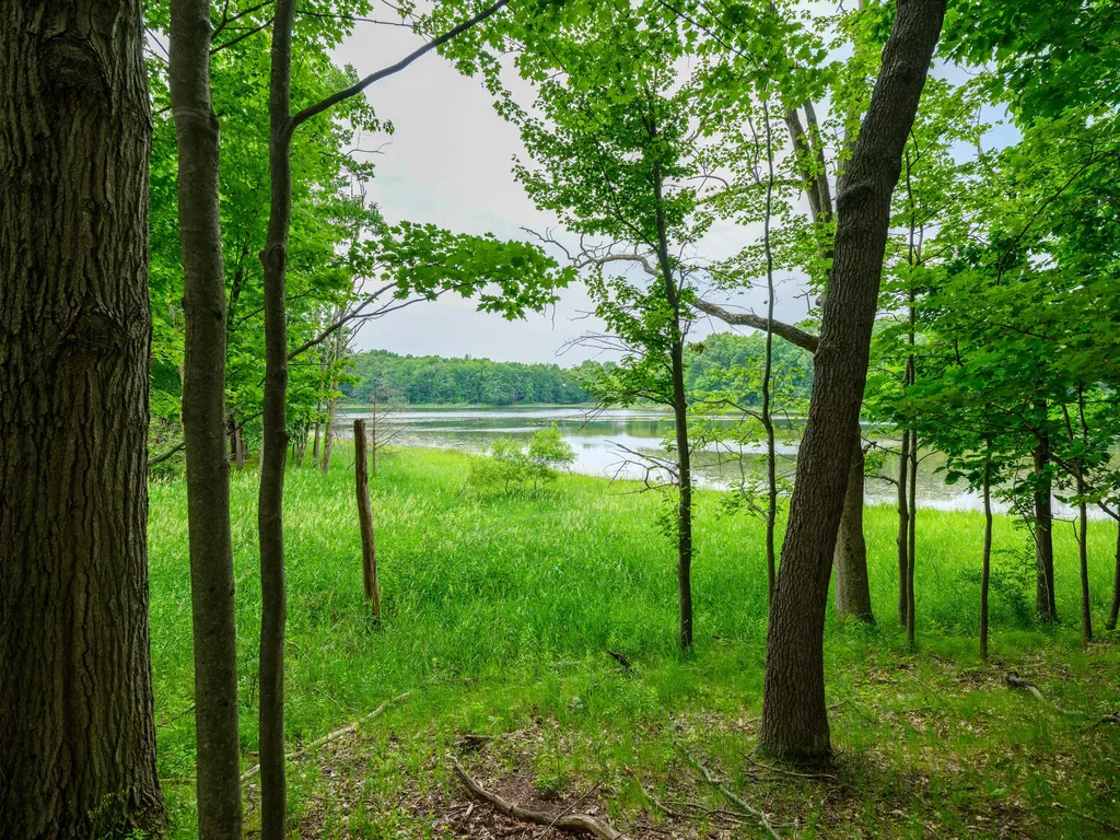 6311 E Bay Lane Richland Township MI 49083