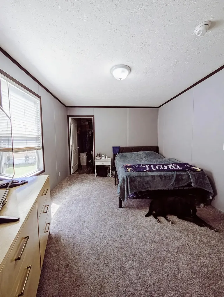 246 Center Green Meadow Street SE Grand Rapids Charter Township MI 49548