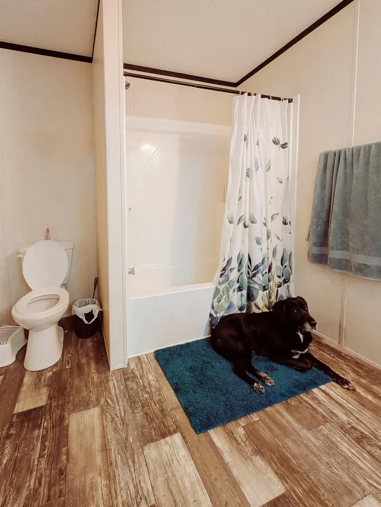 246 Center Green Meadow Street SE Grand Rapids Charter Township MI 49548