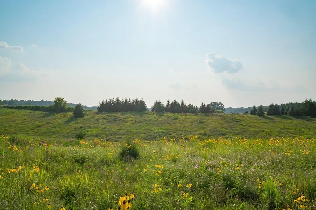 6670 Chaffey Creek Trail Richland Township MI 49083