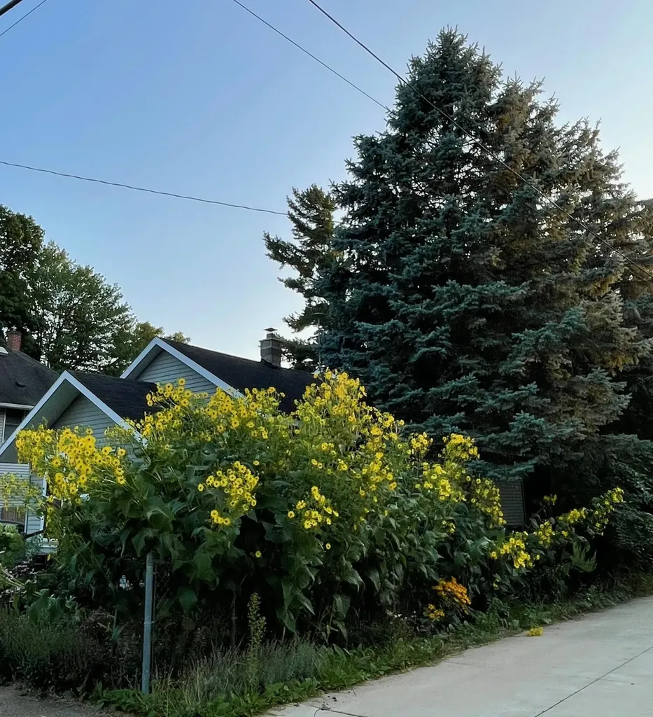 221 Nelson Avenue Kalamazoo Charter Township MI 49006