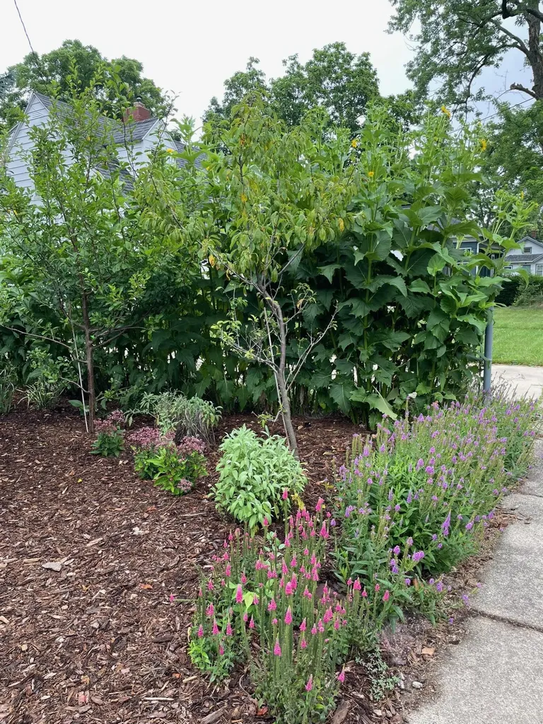 221 Nelson Avenue Kalamazoo Charter Township MI 49006
