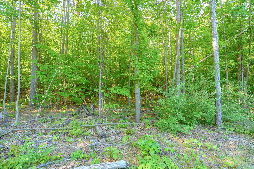 4384 112th Avenue Cheshire Township MI 49010