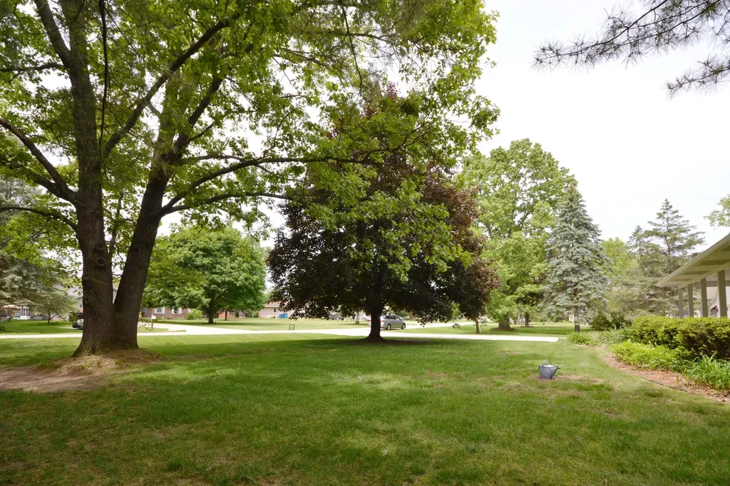 48463 Orchard Drive Antwerp Township MI 49071